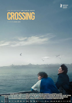 crossing poster